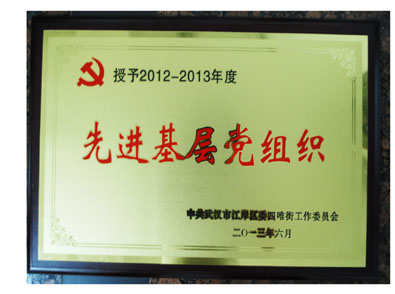 湖北云顶国际有限公司党支部荣获先进基层党组织荣誉称号